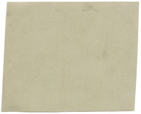 Chinese School, Chinese Persimmon Fruit – Mid-19th-century chinese painting on pith