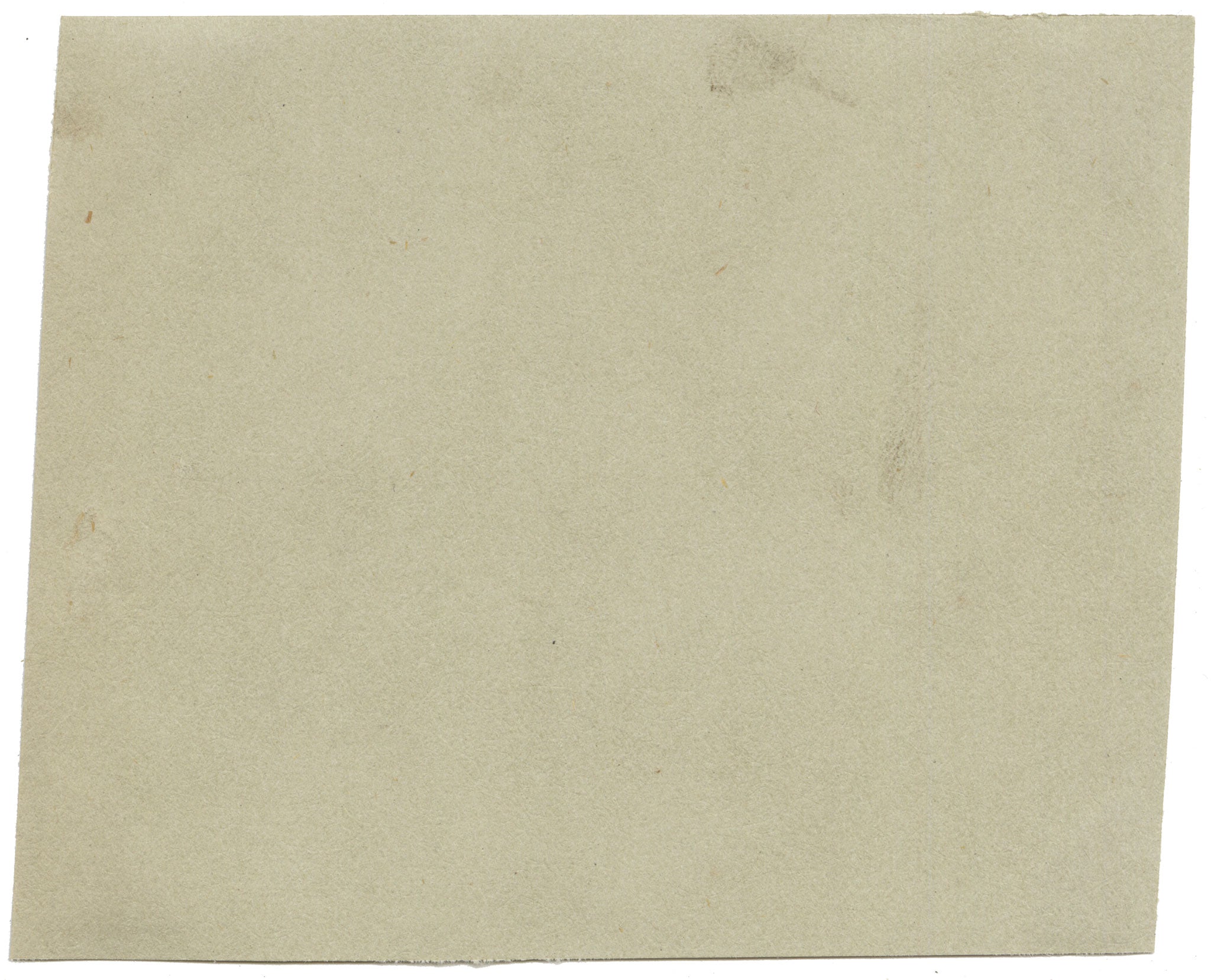 Chinese School, Chinese Persimmon Fruit – Mid-19th-century chinese painting on pith