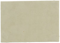 Chinese School, Chinese Carrot – Mid-19th-century chinese painting on pith
