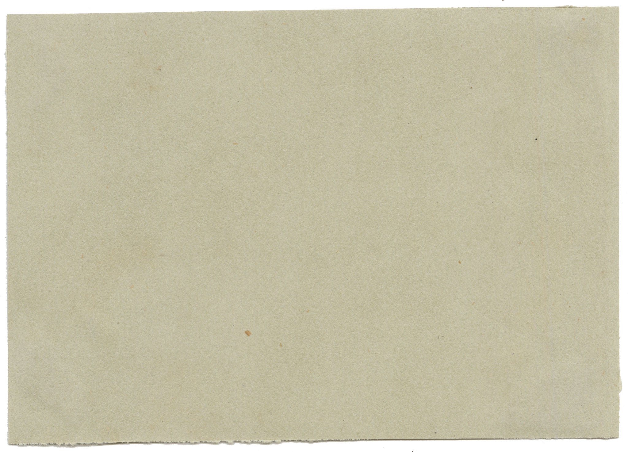Chinese School, Chinese Carrot – Mid-19th-century chinese painting on pith