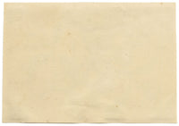 Chinese School, Chinese Quince Fruit – Mid-19th-century chinese painting on pith