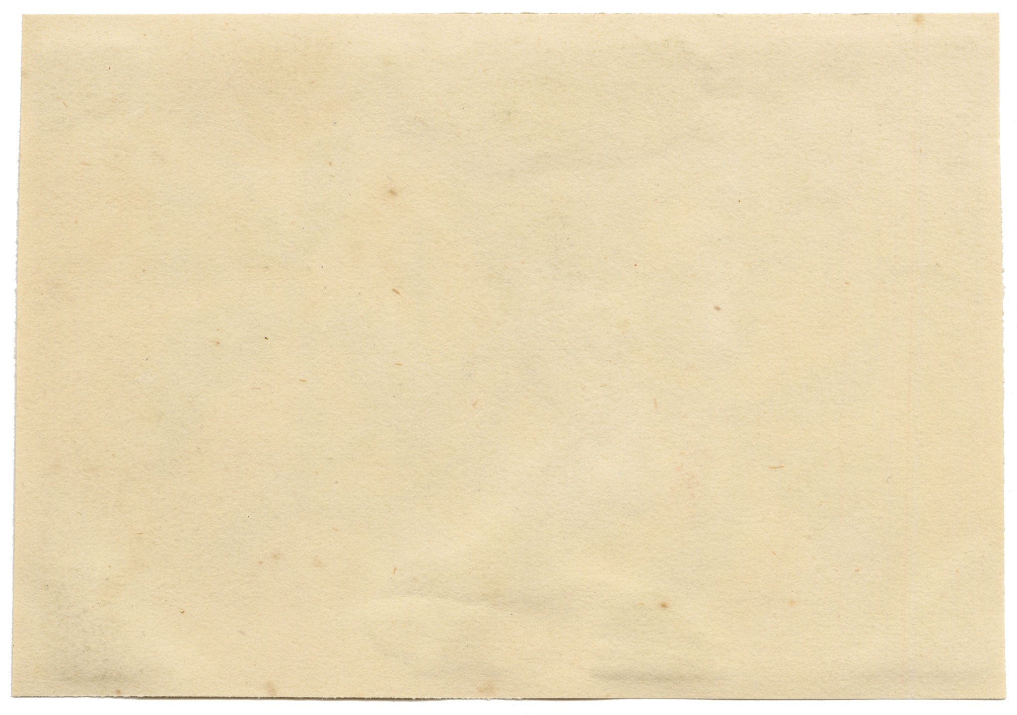 Chinese School, Chinese Quince Fruit – Mid-19th-century chinese painting on pith