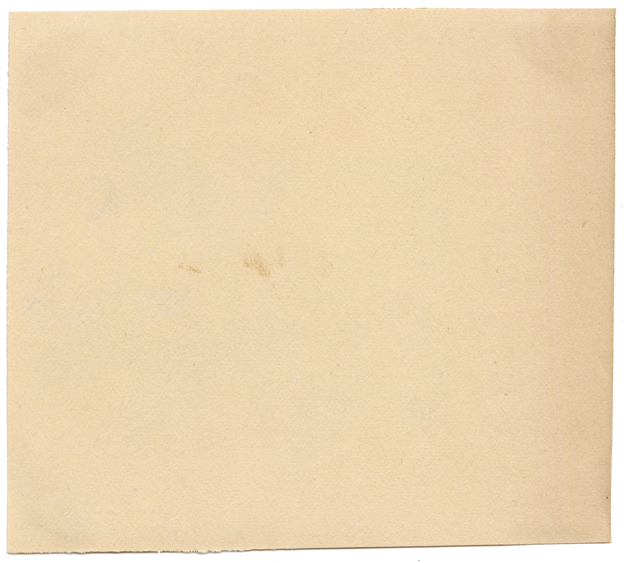 Chinese School, Chinese Pomelo Fruit – Mid-19th-century chinese painting on pith