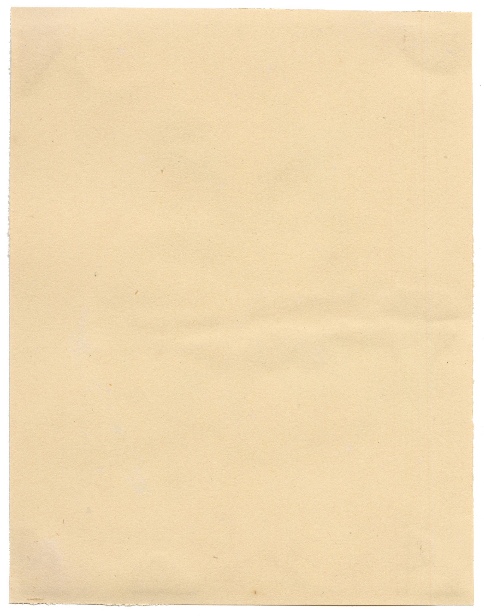 Chinese School, Chinese Mandarin Orange – Mid-19th-century chinese painting on pith