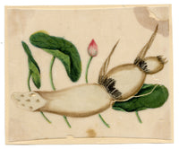 Chinese School, Chinese Lotus Root Plant – Mid-19th-century chinese painting on pith