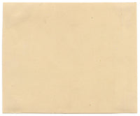 Chinese School, Chinese Lotus Root Plant – Mid-19th-century chinese painting on pith