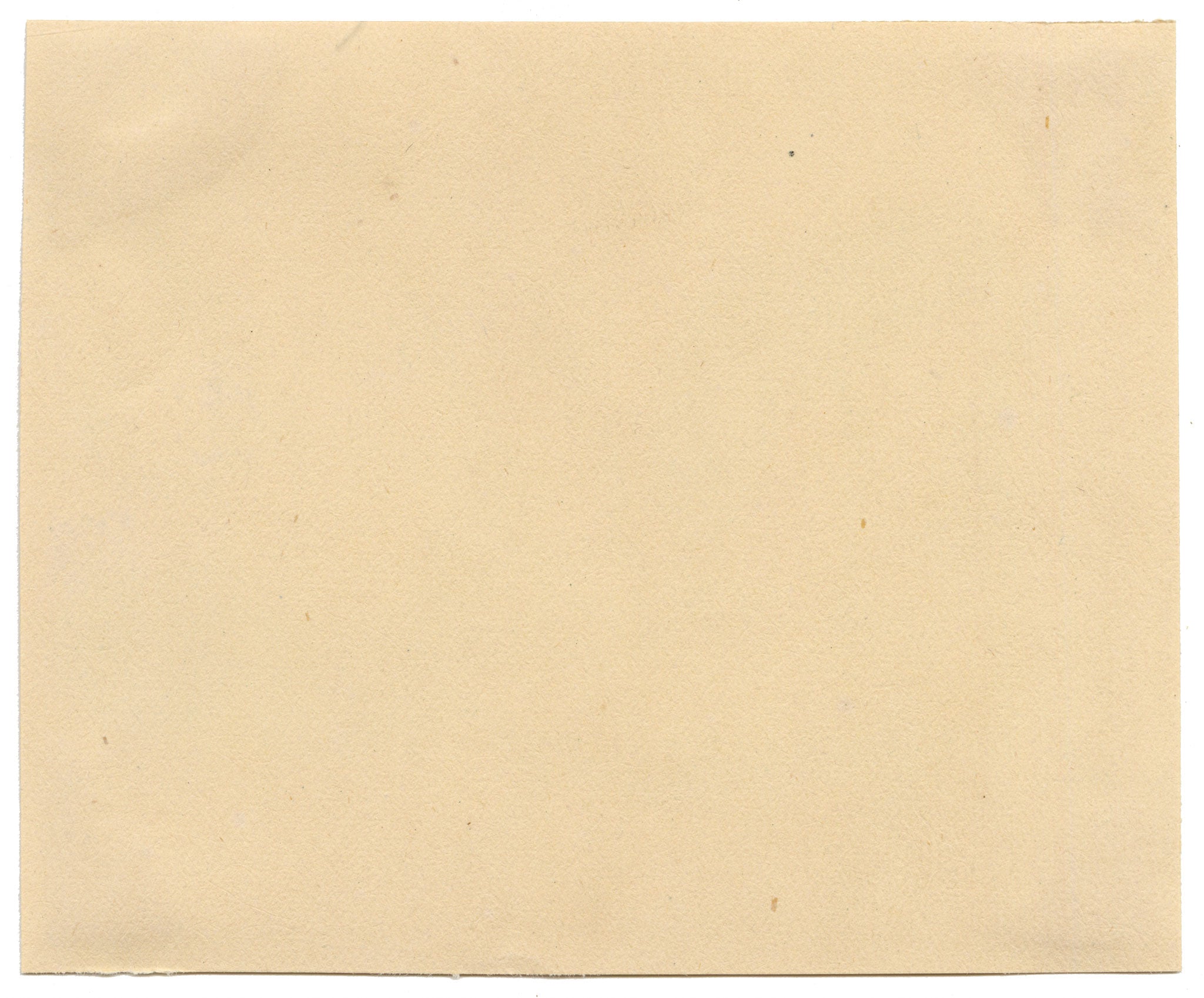 Chinese School, Chinese Lotus Root Plant – Mid-19th-century chinese painting on pith