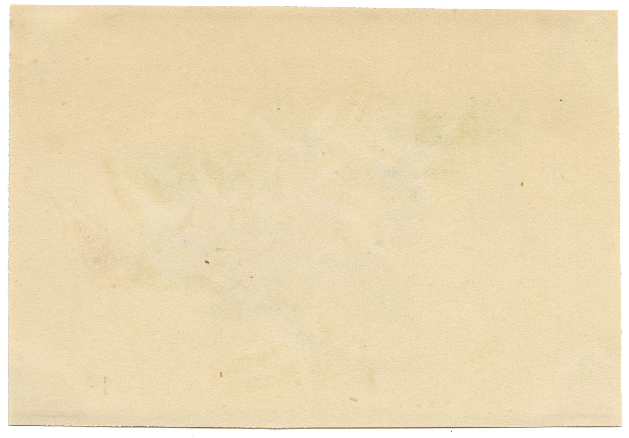 Chinese School, Pink Rose Flower with Butterfly – Mid-19th-century chinese painting on pith