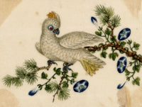 Chinese School, Yellow-crested Cockatoo Bird on Pine Branch – Mid-19th-century chinese painting on pith