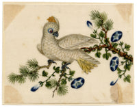 Chinese School, Yellow-crested Cockatoo Bird on Pine Branch – Mid-19th-century chinese painting on pith