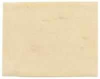 Chinese School, Yellow-crested Cockatoo Bird on Pine Branch – Mid-19th-century chinese painting on pith