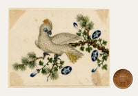 Chinese School, Yellow-crested Cockatoo Bird on Pine Branch – Mid-19th-century chinese painting on pith