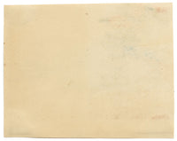 Chinese School, Chinese Grouper Fish – Mid-19th-century chinese painting on pith