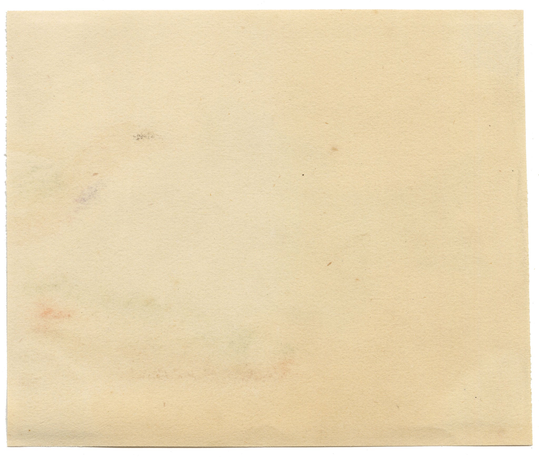 Chinese School, Chinese Silver Carp Fish – Mid-19th-century chinese painting on pith