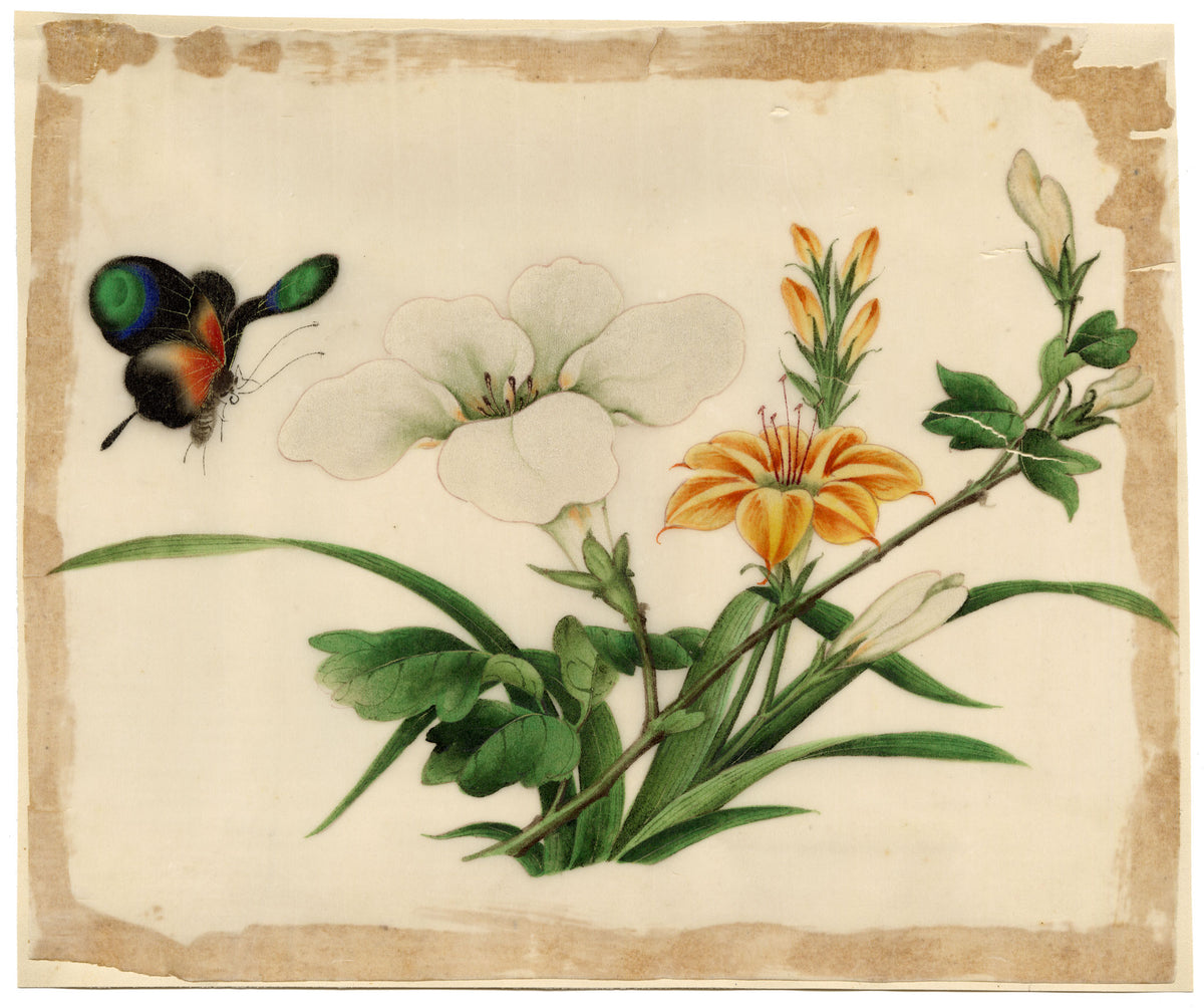 Chinese School, Lily Flowers with Butterfly – Mid-19th-century chinese painting on pith