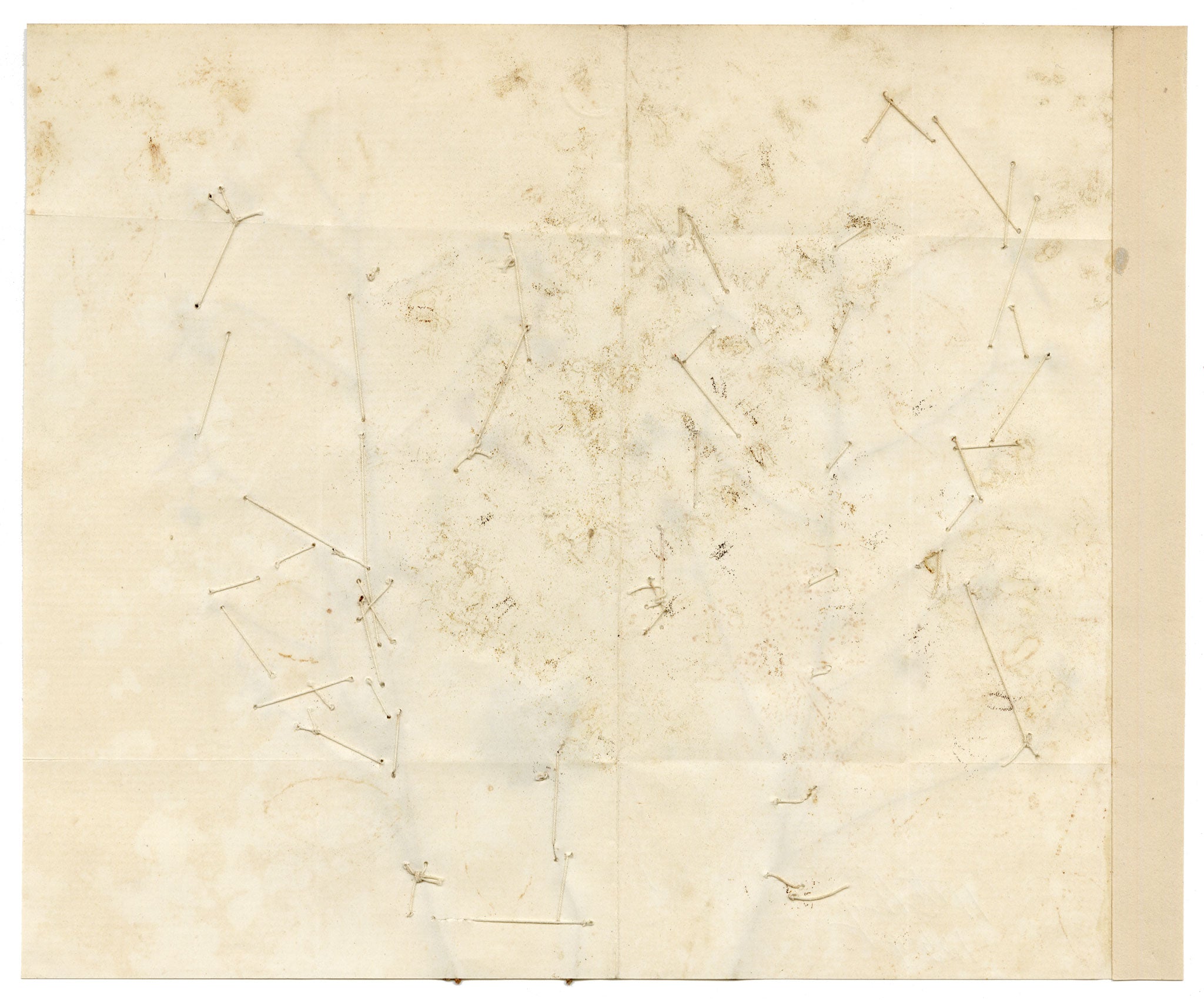 Anon., Chinese Herbarium Pressed Wildflowers from the Grand Canal – 1859