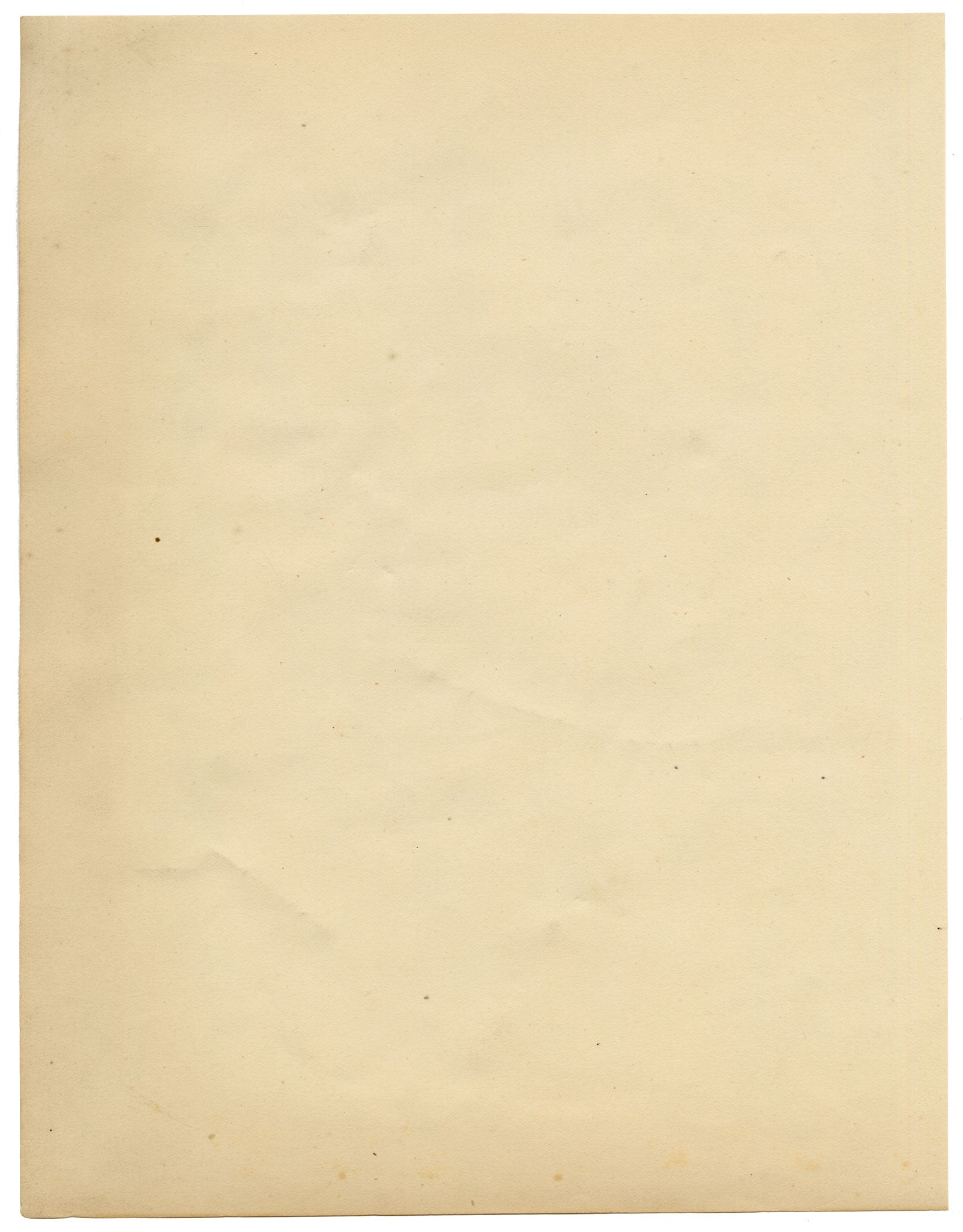 Anon., Chinese Herbarium Pressed Wildflowers – c.1859