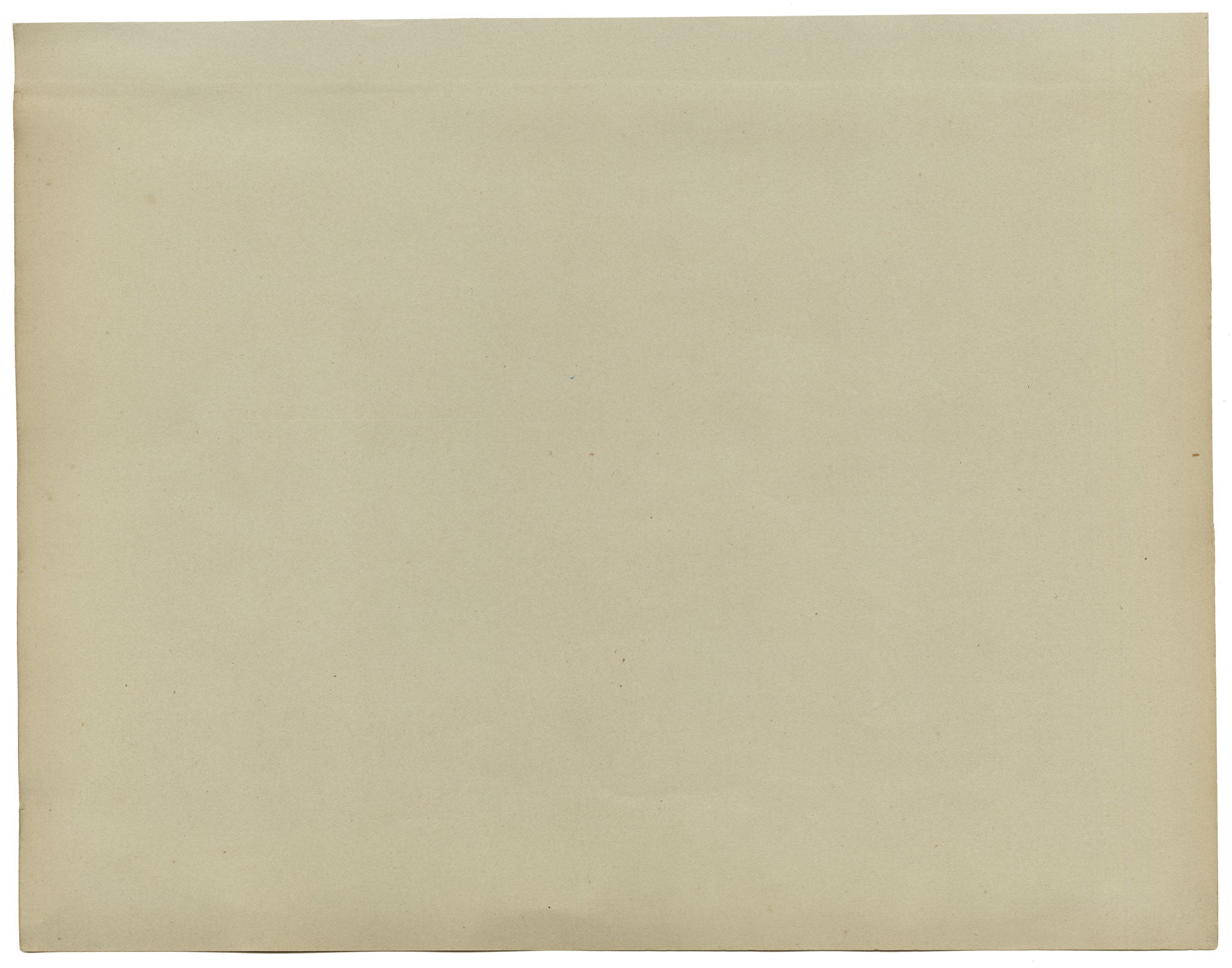 Anon., Chinese Herbarium Pressed Wildflowers from the Grand Canal – 1859