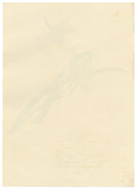 Louisa Hare, Yellow Water Iris with Dragonfly – c.1832 watercolour painting