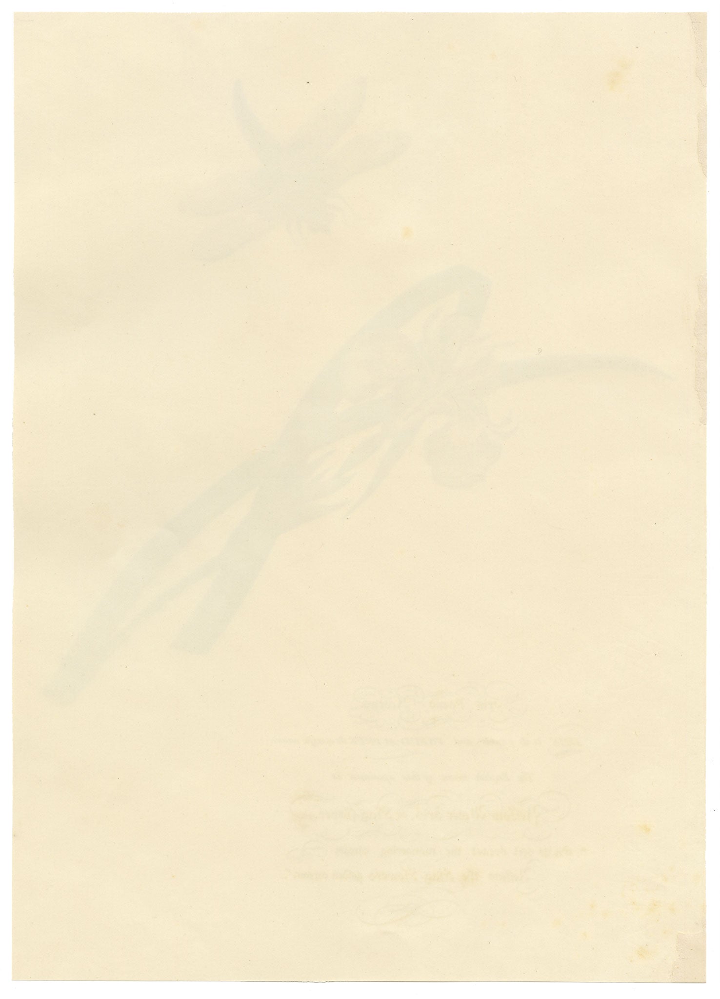Louisa Hare, Yellow Water Iris with Dragonfly – c.1832 watercolour painting