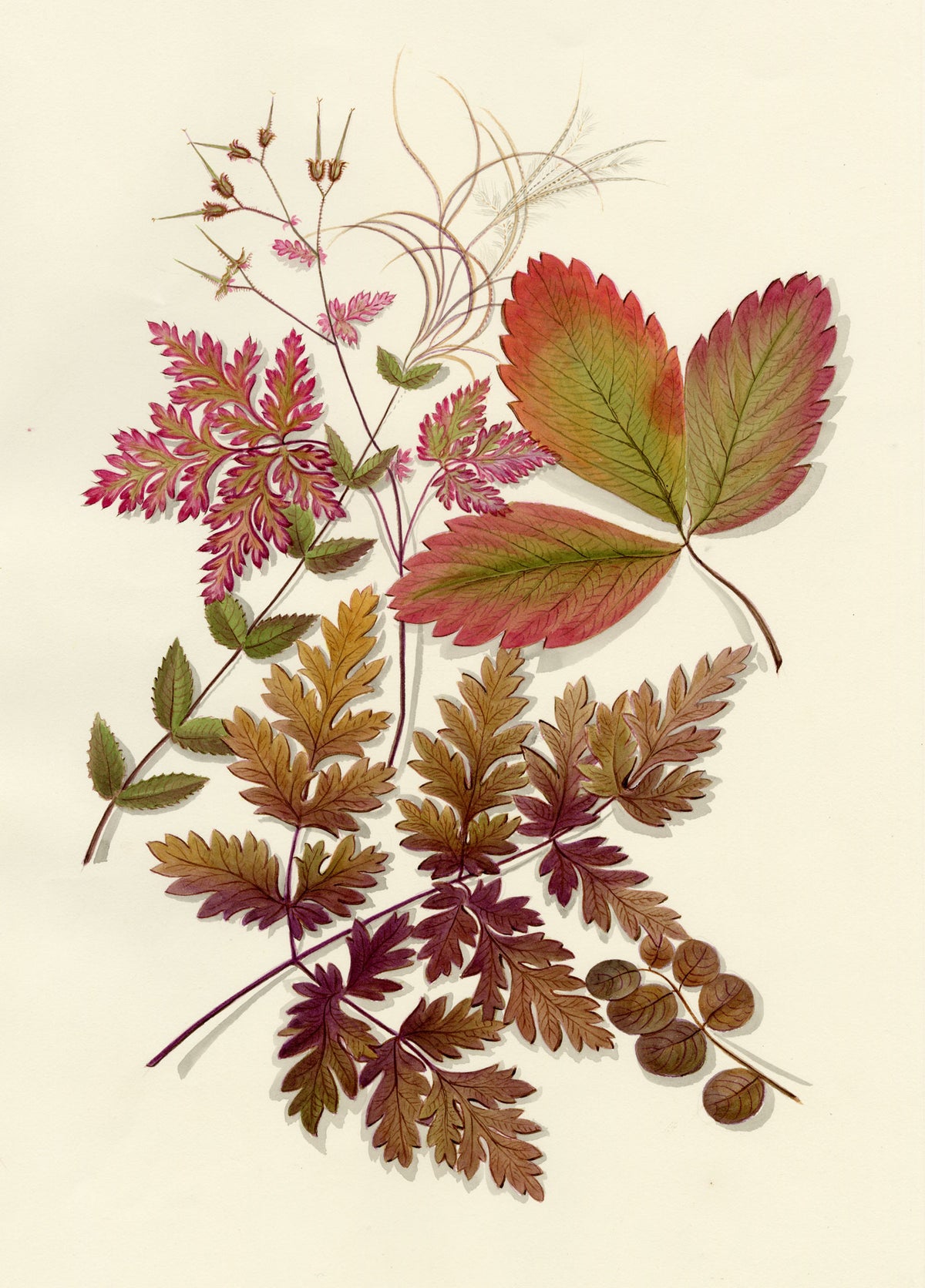Louisa Hare, Autumn Leaf Foliage – c.1832 watercolour painting