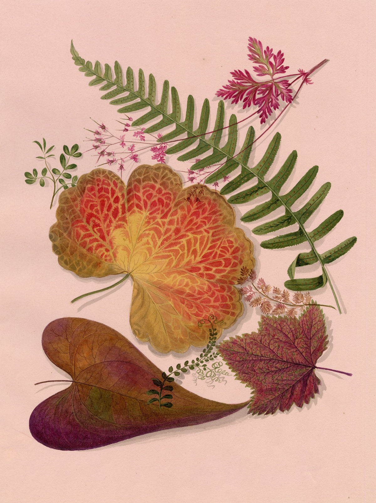 Louisa Hare, Autumn Leaf Foliage – c.1832 watercolour painting