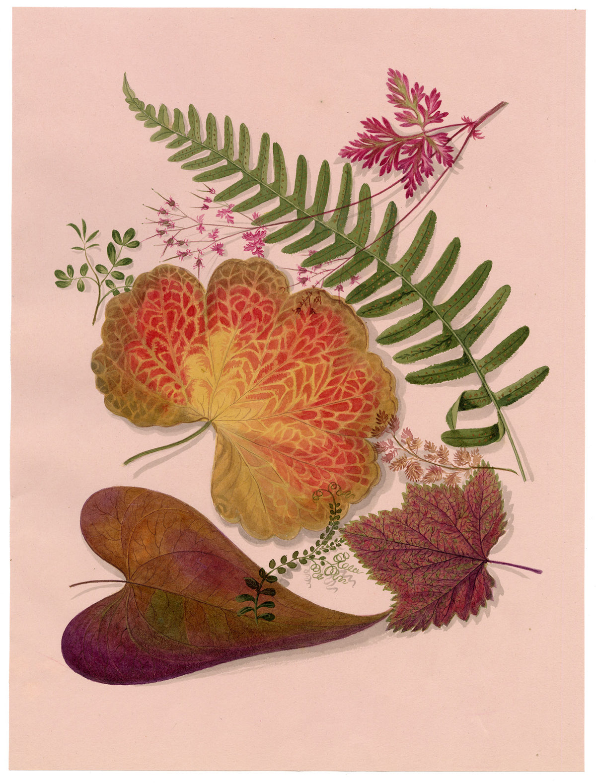 Louisa Hare, Autumn Leaf Foliage – c.1832 watercolour painting