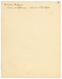 Anon., Common Flax Flower (Linum usitatissimum), Ripon, Yorkshire – c.1835 watercolour painting