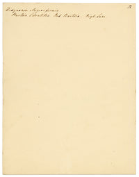 Anon., Red Bartsia Flower (Odontites vernus), High Lane to Settle – c.1835 watercolour painting