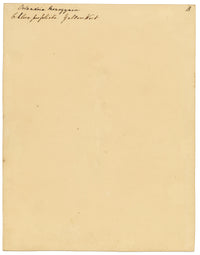Anon., Yellow-wort Flower (Chlora perfoliata) – c.1835 watercolour painting