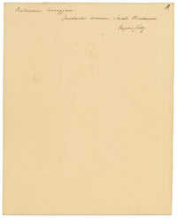 Anon., Field Bindweed Flower (Convolvulus arvensis), Ripon, Yorkshire – c.1835 watercolour painting