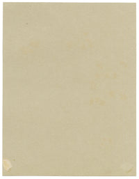 Anon., Thunberg's Meadowsweet Flowers (Spiraea thunbergii), Broadwater Down, Kent – 1914 watercolour painting
