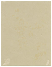 Anon., Wintersweet Flowers (Chimonanthus fragrans), Verwood, Dorset – 1913 watercolour painting