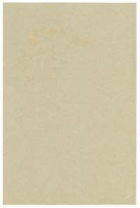 Anon., Laburnum vulgare, Broadwater Down, Kent – 1914 watercolour painting