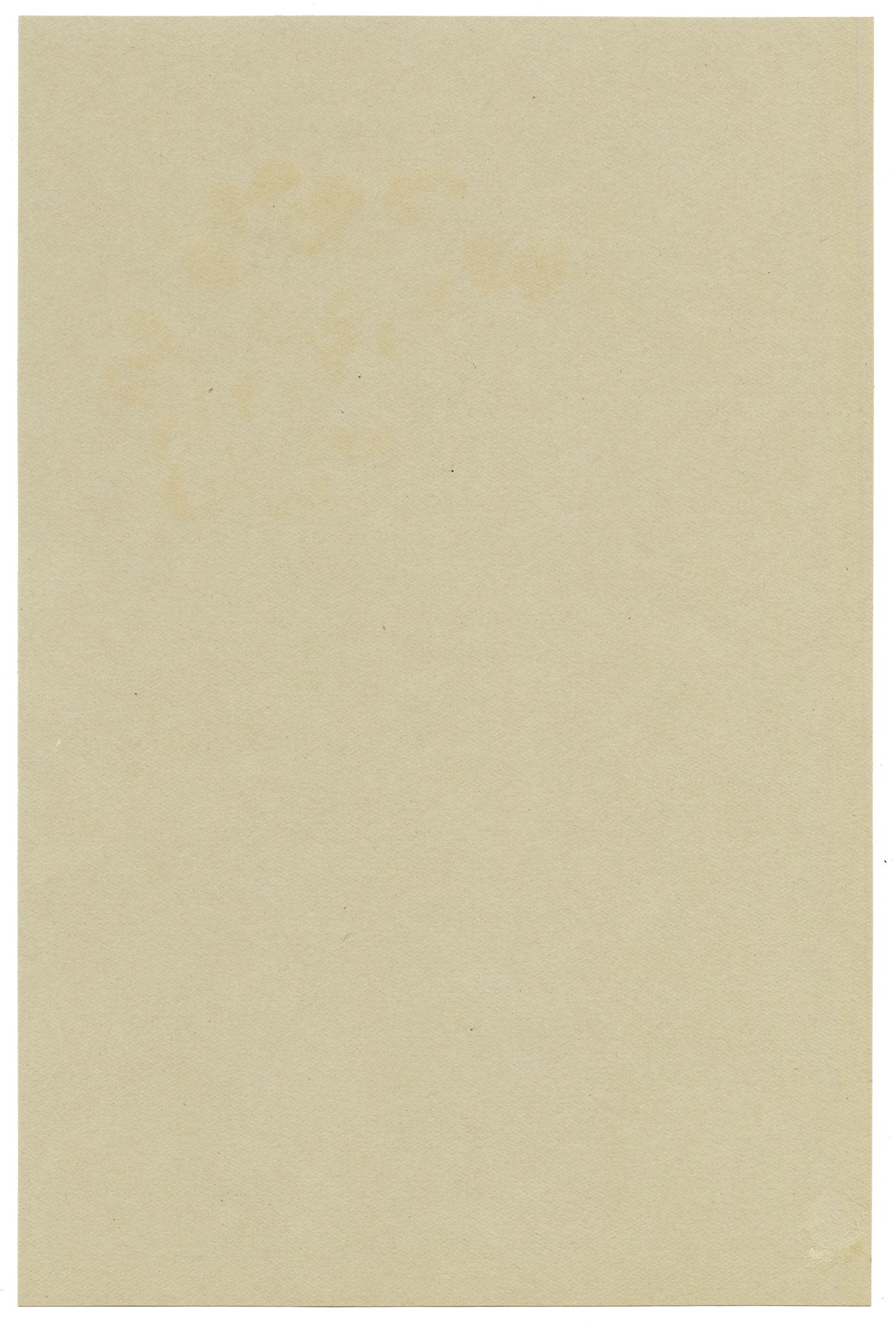 Anon., Laburnum vulgare, Broadwater Down, Kent – 1914 watercolour painting