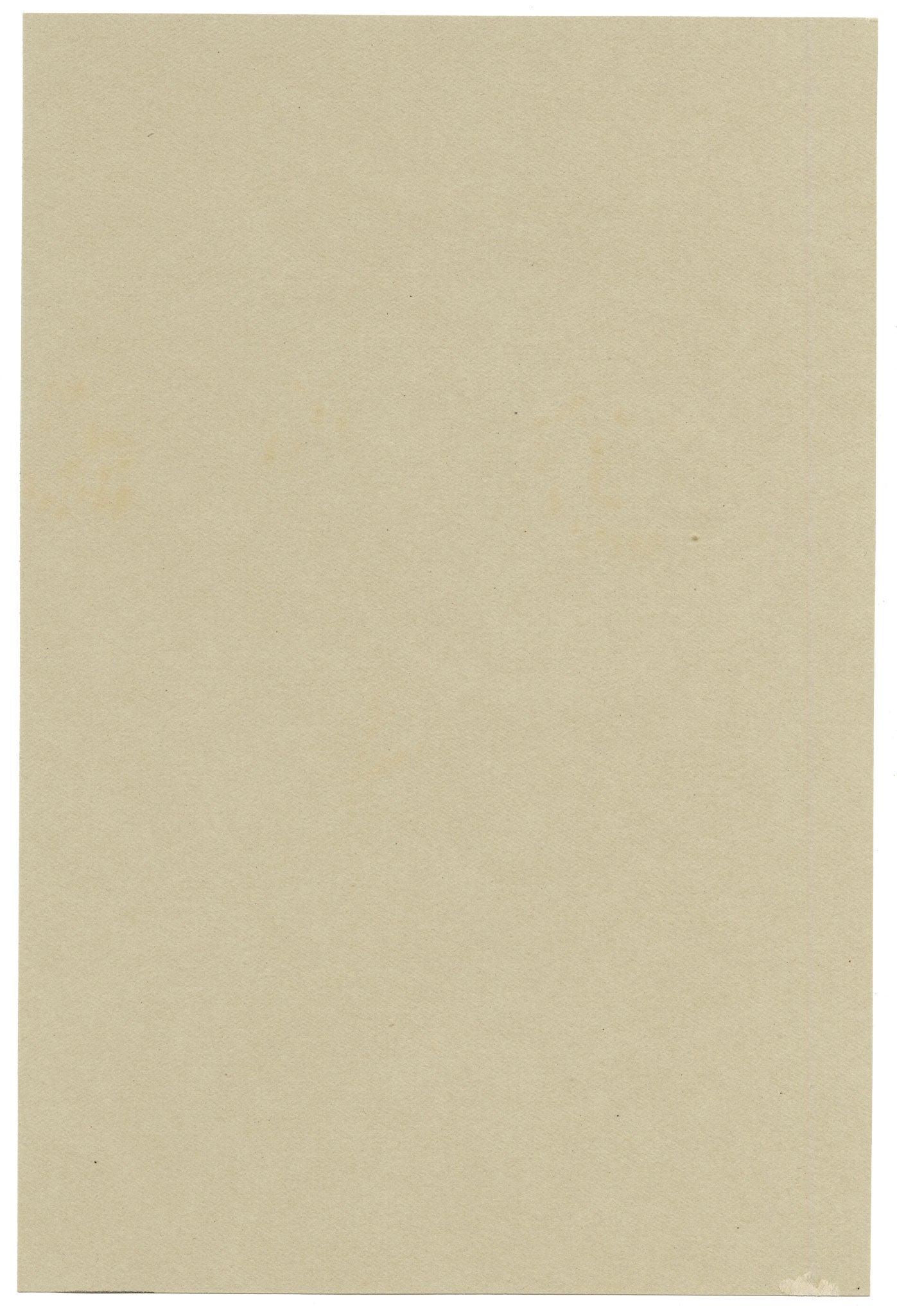 Anon., Wayfaring Tree (Viburnum Lantana), Verwood, Dorset – 1914 watercolour painting