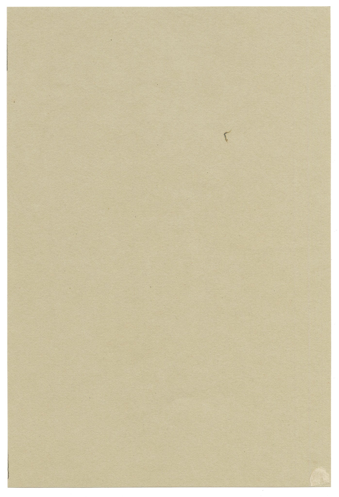 Anon., Bush Honeysuckle (Diervilla lutea), Verwood, Dorset – 1915 watercolour painting