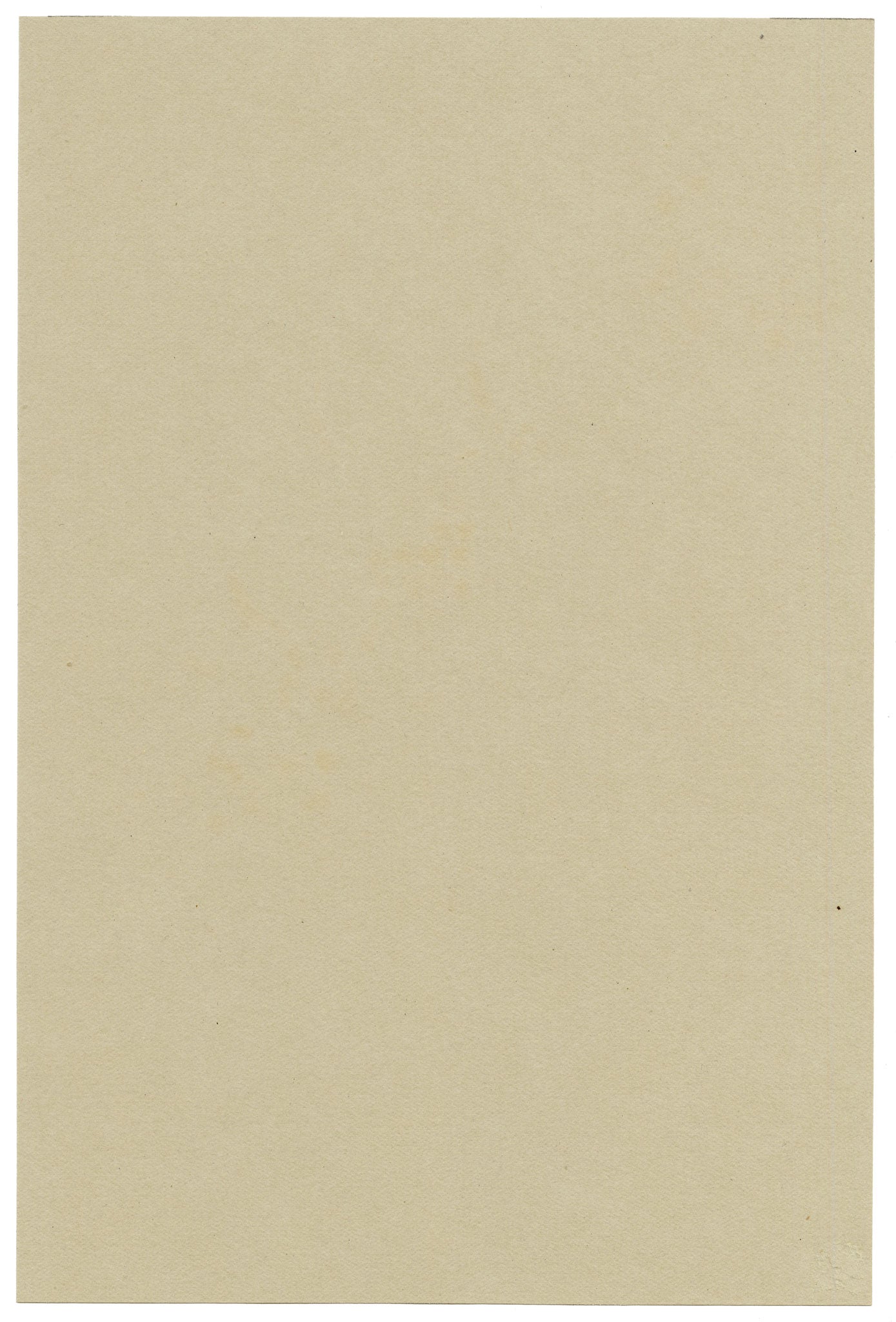 Anon., Barberry Branch (Berberis), Verwood, Dorset – 1915 watercolour painting