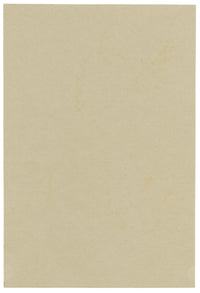Anon., Red-pink Speedwell (Veronica) Flower – 1915 watercolour painting