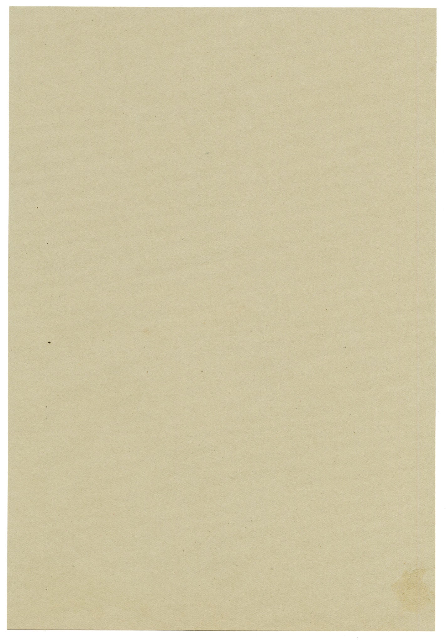 Anon., Speedwell (Veronica) Flower, Hesketh Crescent, Torquay, Devon – 1913 watercolour painting