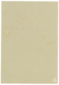 Anon., Scentless Mayweed Flowers (Matricaria inodora), Corner of Ilsham Road, Torquay, Devon – 1913 watercolour painting