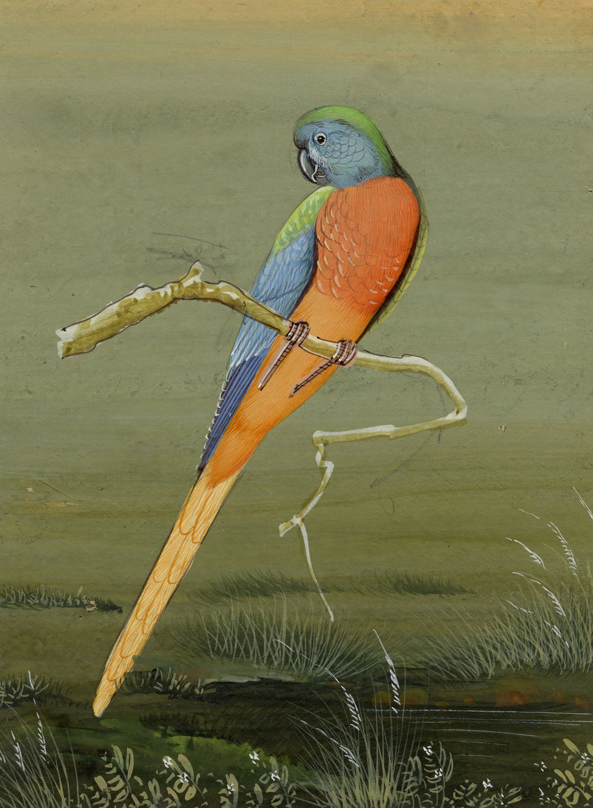 Indian School, Parakeet Bird – Miniature opaque watercolour painting