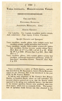 Curtis's Botanical Magazine, Hollow-leaved Violet (Viola cucullata) – 1816 Hand-coloured engraving
