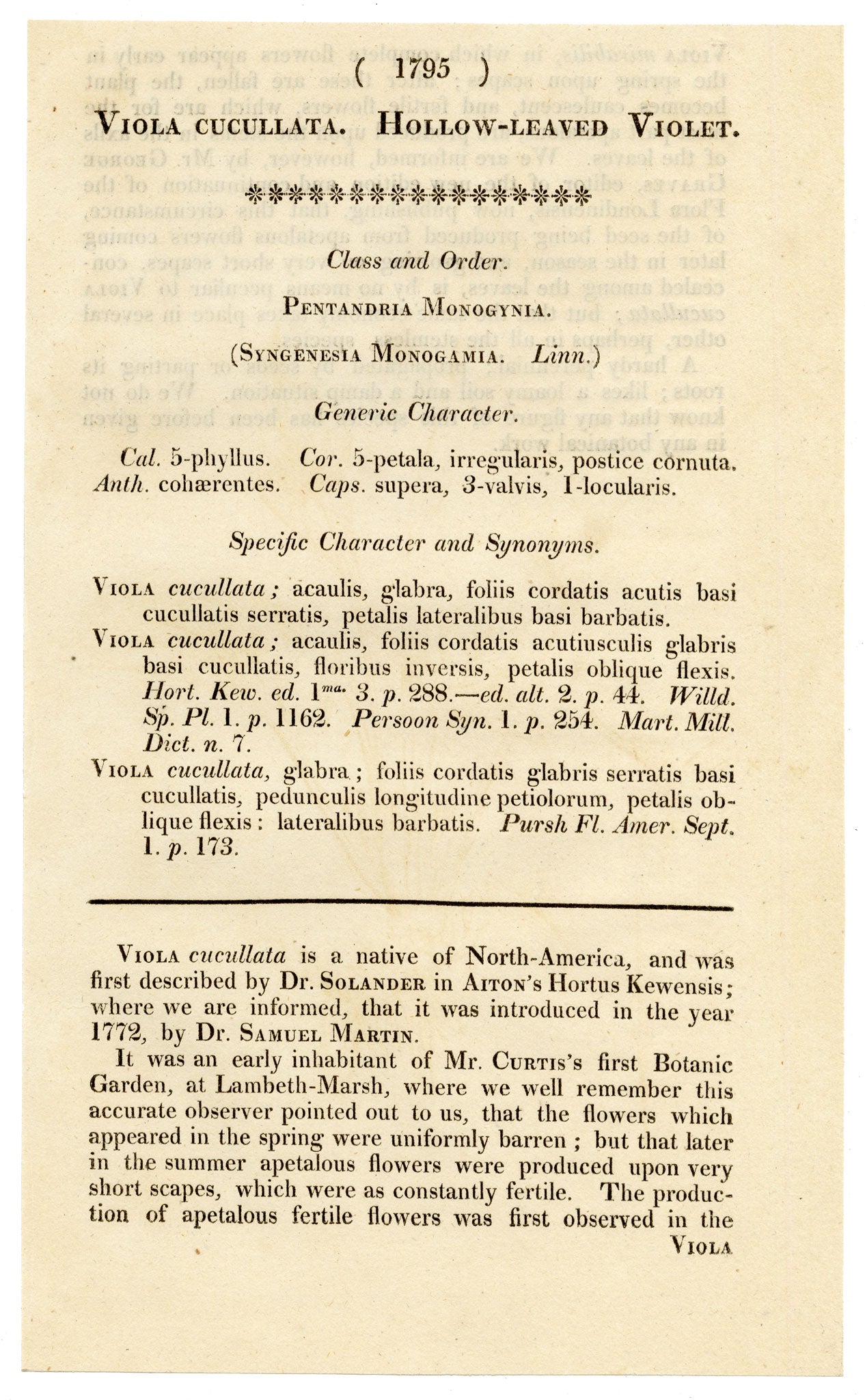 Curtis's Botanical Magazine, Hollow-leaved Violet (Viola cucullata) – 1816 Hand-coloured engraving