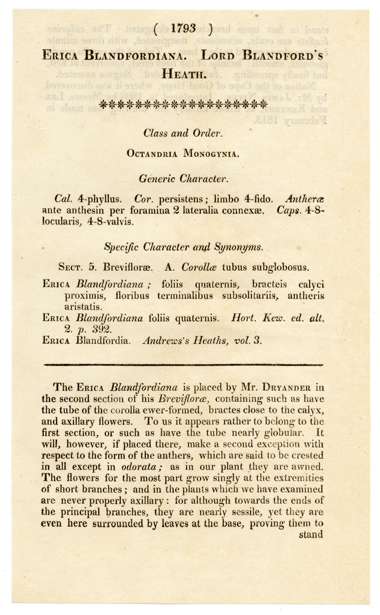 Curtis's Botanical Magazine, Lord Blandford's Heath (Erica blandfordiana) – 1816 Hand-coloured engraving