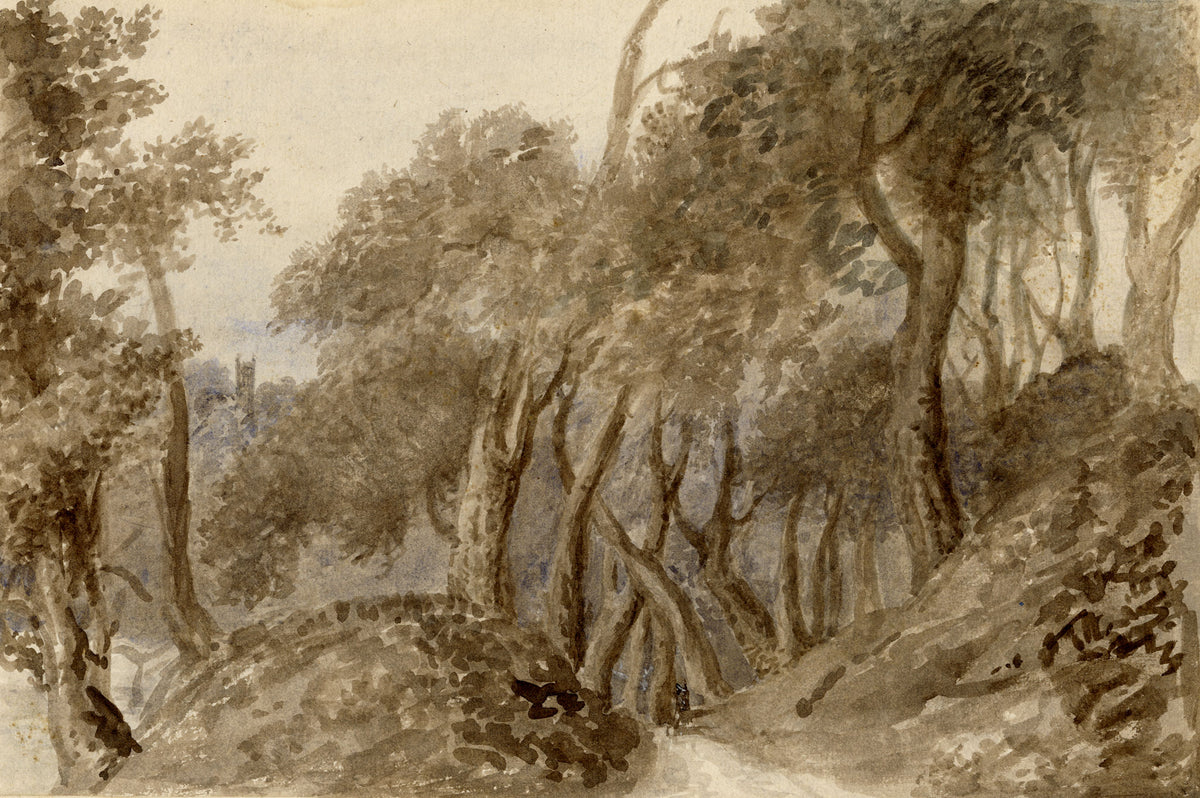 Mary Ann J. Thynne, The Old Wood at Dalkeith & the Church from the Walk, Midlothian, Scotland – 1837 watercolour painting