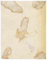 Anon., Antique French Textile Design: Pink Daisy Lace – 1880s gouache painting