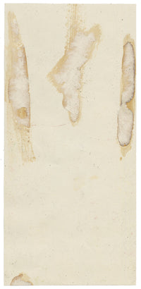 Anon., Antique French Textile Design: Pear Fruit Foliage – 1880s gouache painting