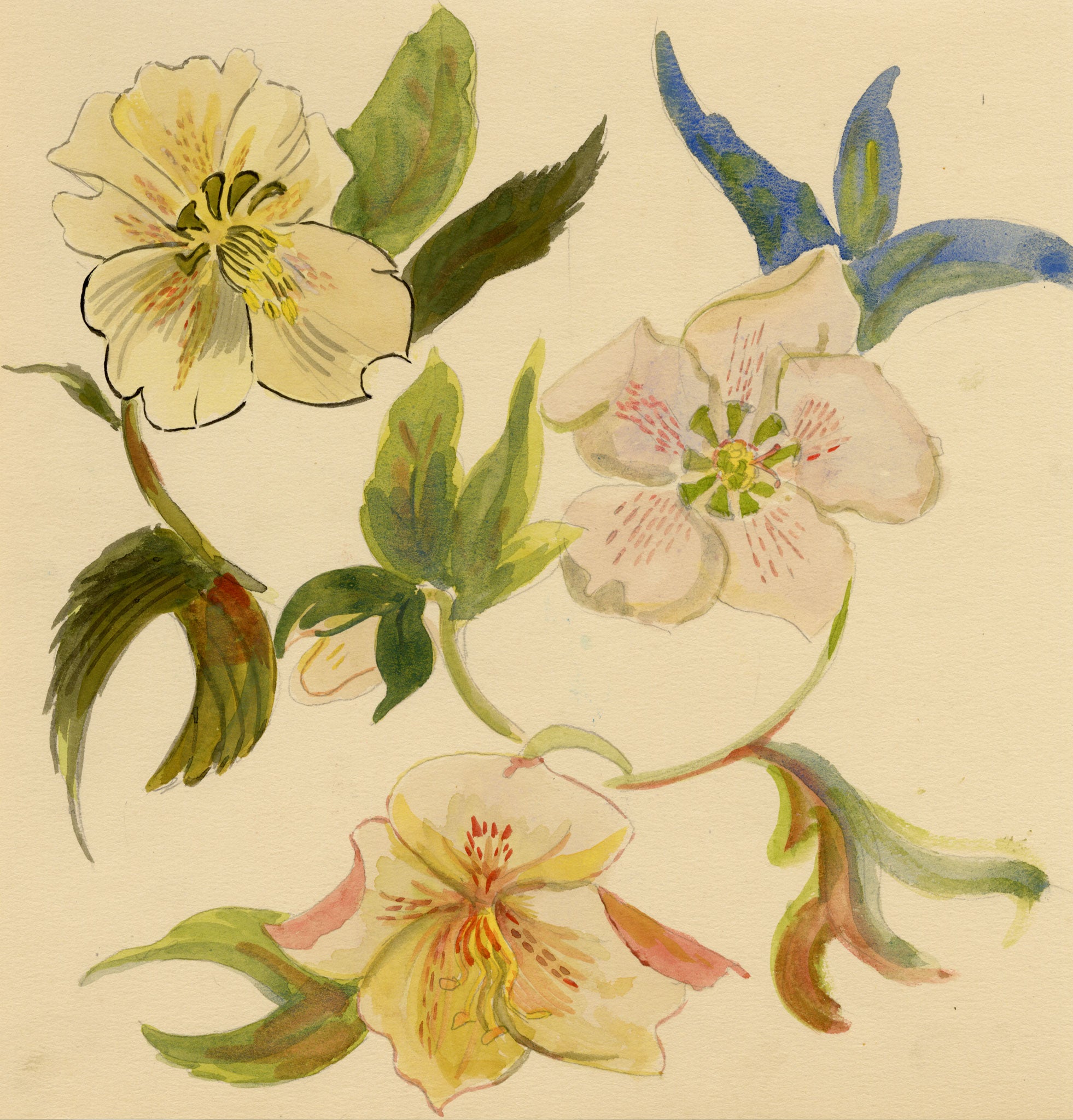 Jean Mary Ogilvie, Art Deco Flower Design – 1930s gouache painting