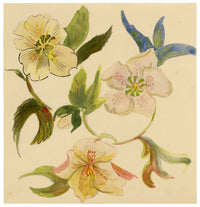 Jean Mary Ogilvie, Art Deco Flower Design – 1930s gouache painting